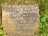 image of grave number 808298